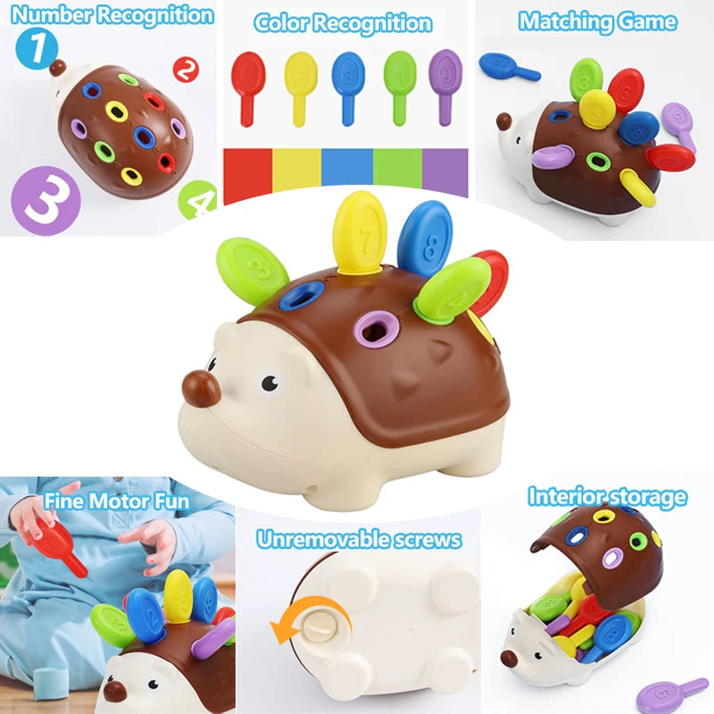 Ouriço montessori brinquedo educativo brinquedos de motor fino para crianças aprendendo contagem & treinamento desenvolver concentração sensorial presente